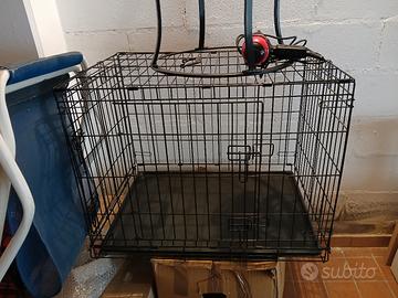 cane trasportino TG media