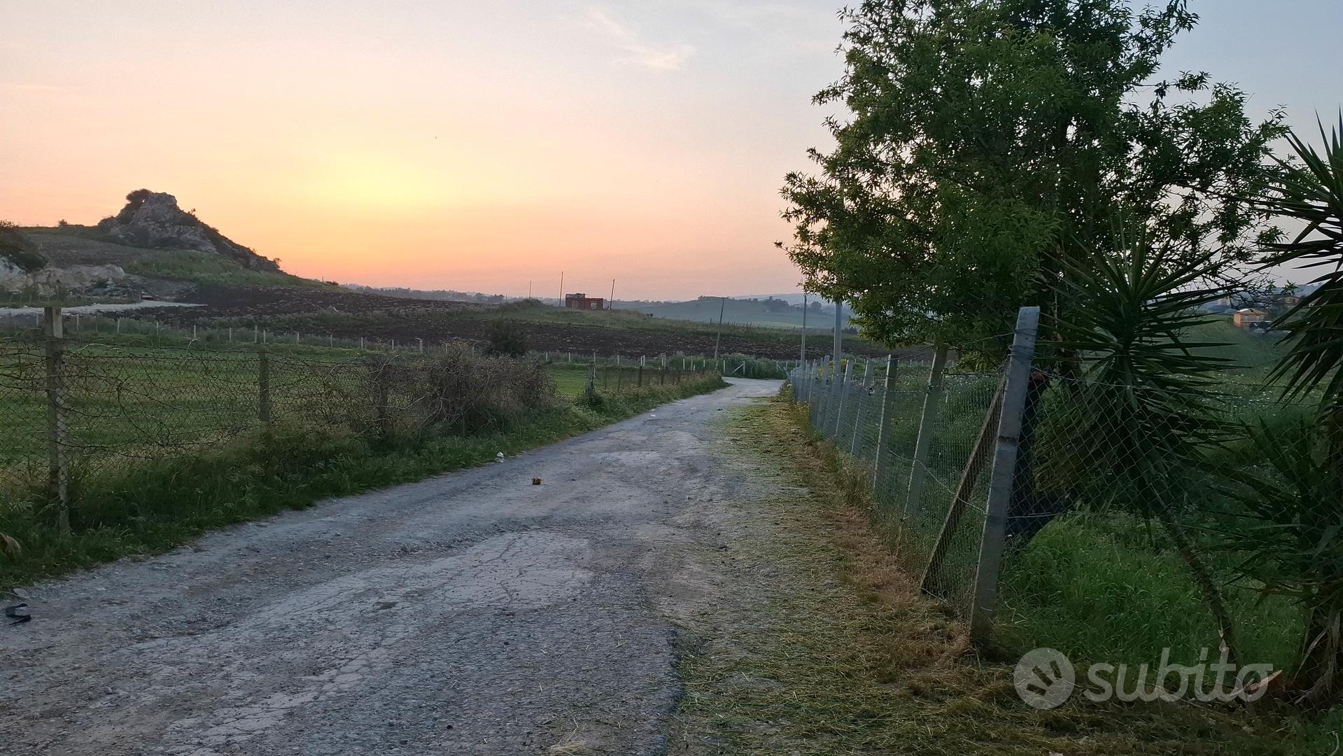 Terreno contrada Giuliana - Vista 4