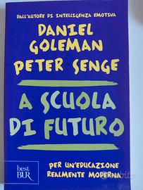 Daniel Goleman, Peter Senge, a scuola di futuro
