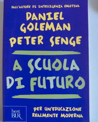 Daniel Goleman, Peter Senge, a scuola di futuro