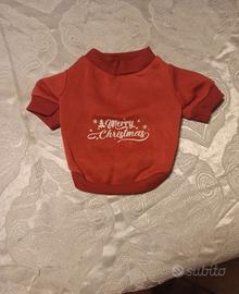 maglioncino natalizio per gatti cuccioli