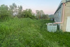 Terreno per pecore