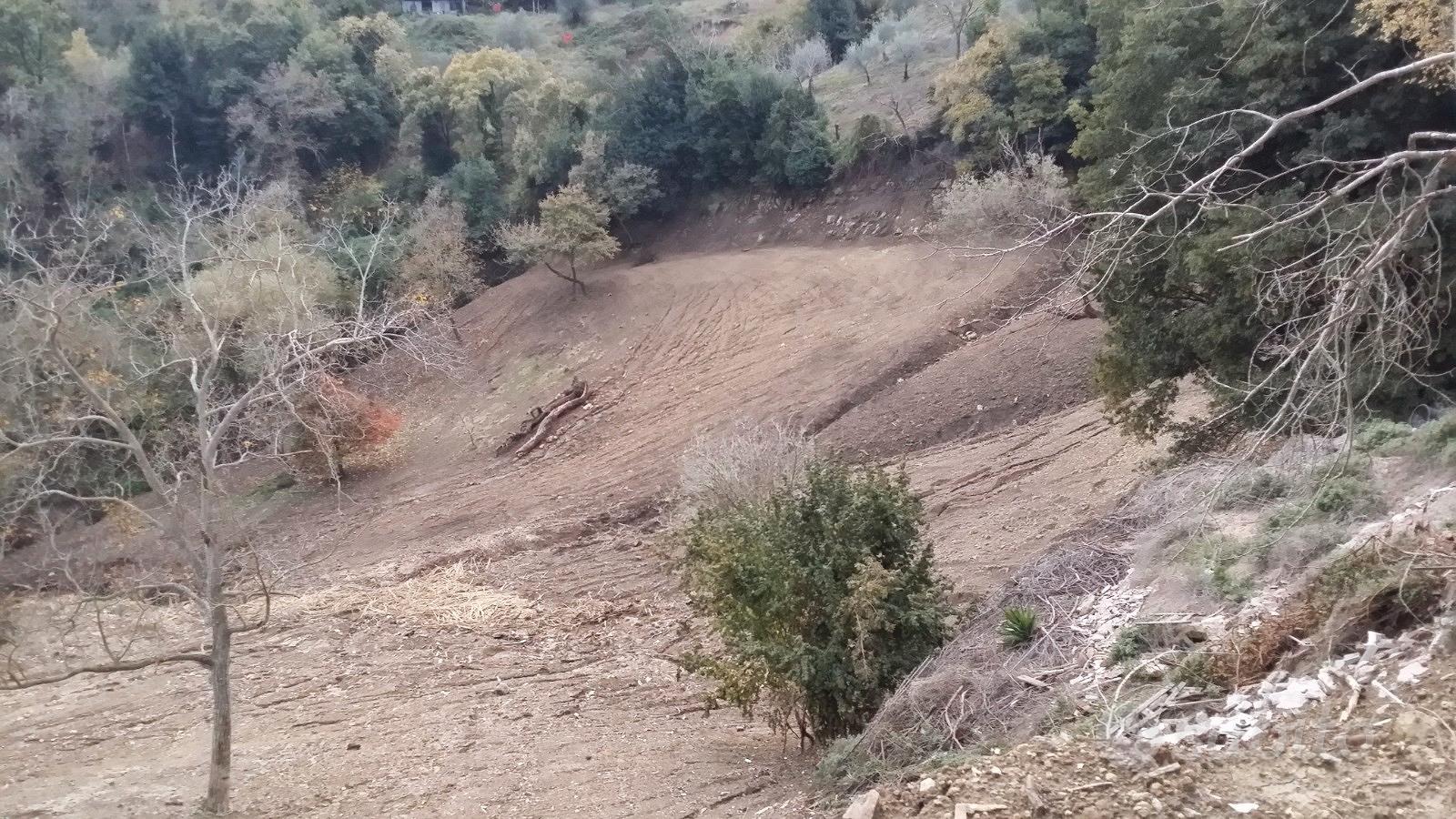 Si vende terreno agricolo con casa rurale - Vista 2