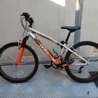 Biciletta mountain-bike  