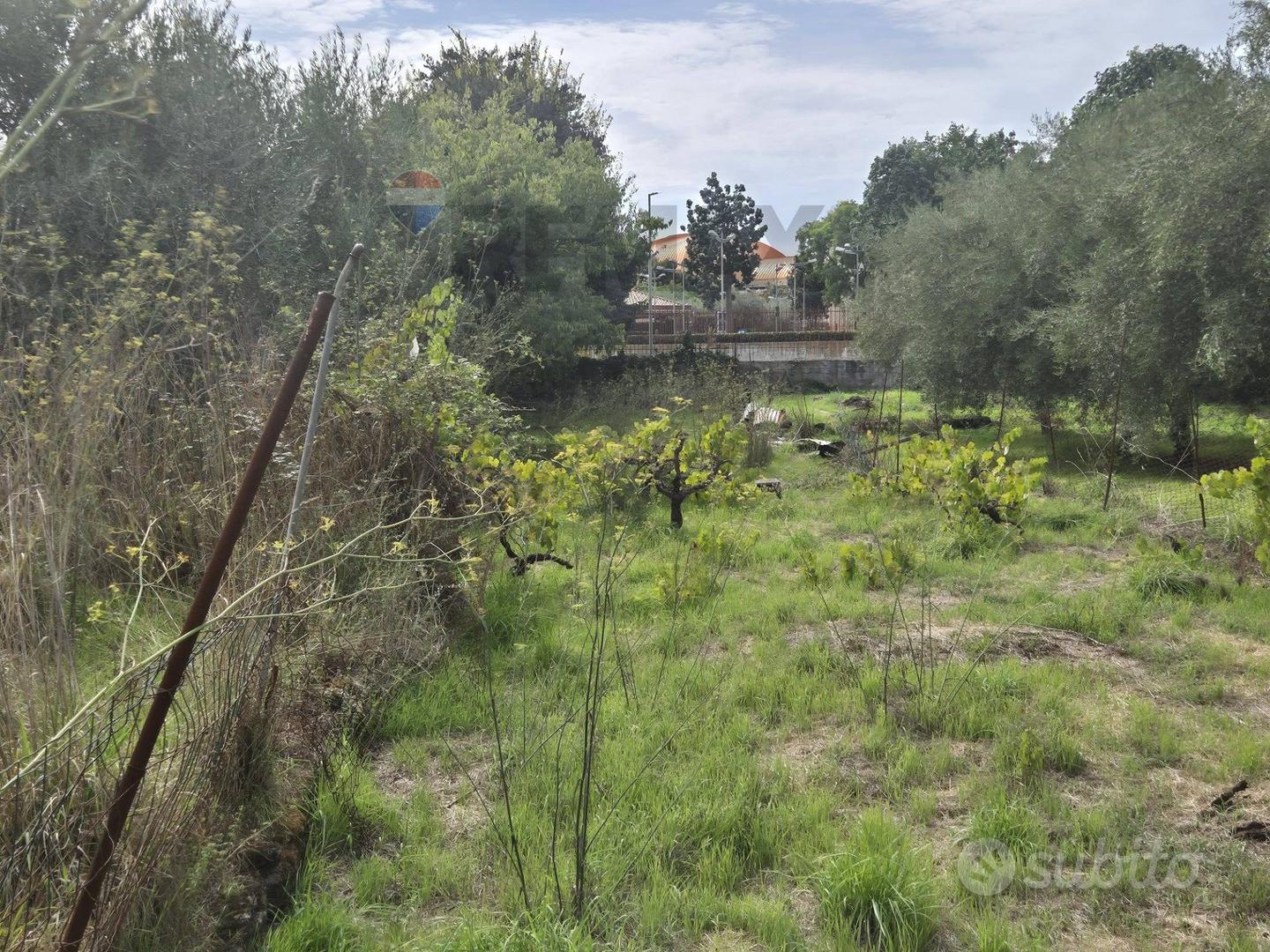 Terreno - San Giovanni la Punta - Vista 3
