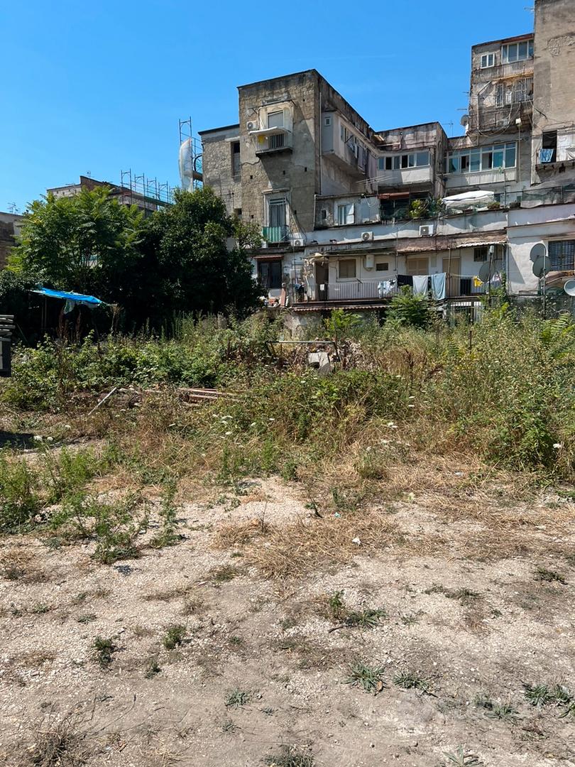 Terreno agricolo piu piccola casa - Vista 4
