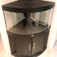 ACQUARIO JUWEL TRIGON  ANGOLARE 200lt CON MOBILE