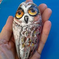 Gufone dipinto su pietra di mare