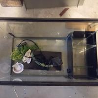 acquario per tartarughe 