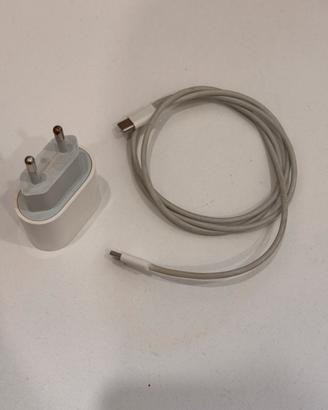 Caricabatterie Alimentatore Apple USB-C 20W + Cavo