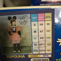 Vestiti di carnevale 