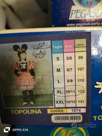 Vestiti di carnevale 