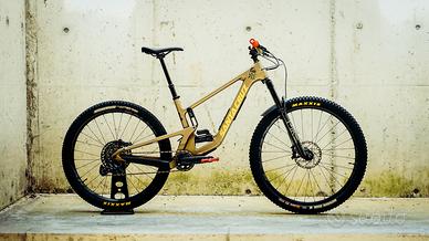 Santa Cruz 5010c GX