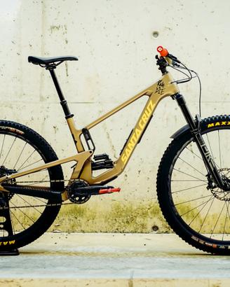 Santa Cruz 5010c GX