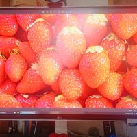 MONITOR  LG  27" ULTRA HD IPS