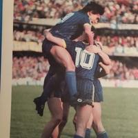 inserto l'arena scudetto verona