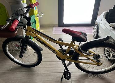Bicicletta