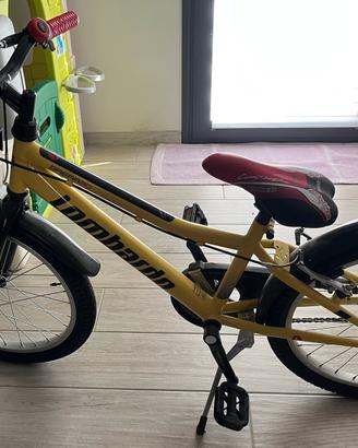 Bicicletta