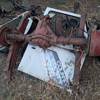 Ponte posteriore daily