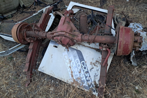 Ponte posteriore daily