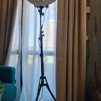 NEEWER Luce ad Anello LED