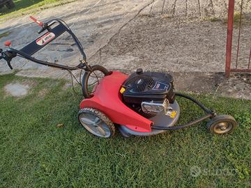 sfalciatutto/rasaerba Efco