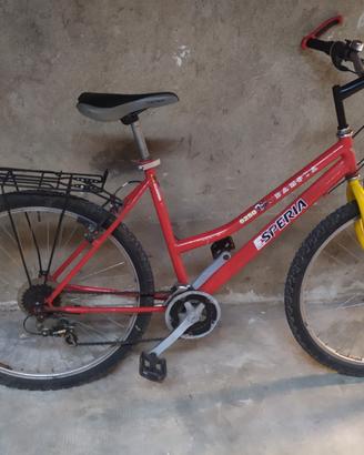 Bici Mountain bike 