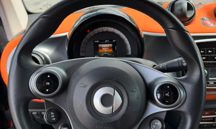 Splendida Smart ForTwo Passion 1.0