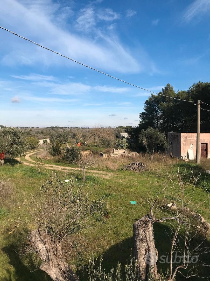 Terreno agricolo - Vista 4