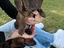 Immagine 1