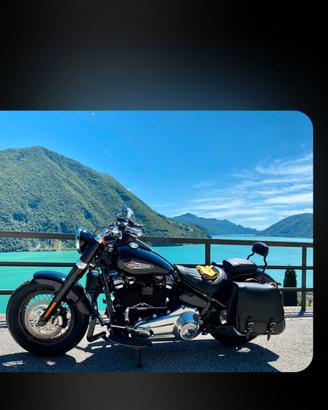 Harley Davidson softail slim 2020 customizzata 