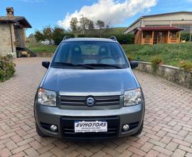 Fiat Panda 1.2 Benzina/Metano 4x4 Climbing OK NEOP