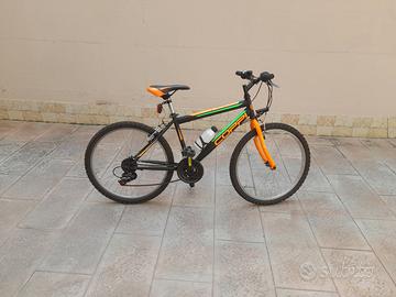 bicicletta coppi