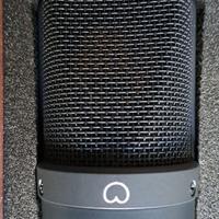 Microfono Neumann TLM 193 (prezzo per unità)