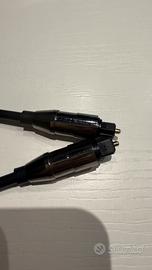 Cavo ottico lungo 50 cm