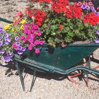 carriola da giardino x fiori o fragole 