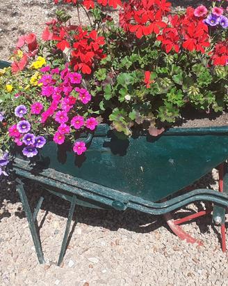 carriola da giardino x fiori o fragole 