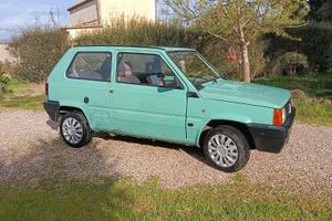 Fiat Panda young