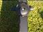 Immagine 4