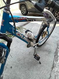 bicicletta 