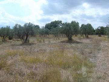 Terreno edificabile Lanciano previa approvazione