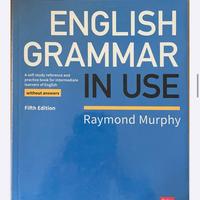 English grammar in use