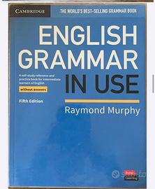 English grammar in use