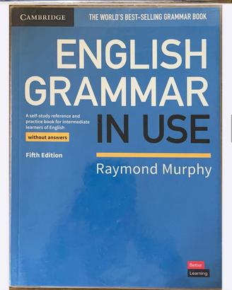 English grammar in use