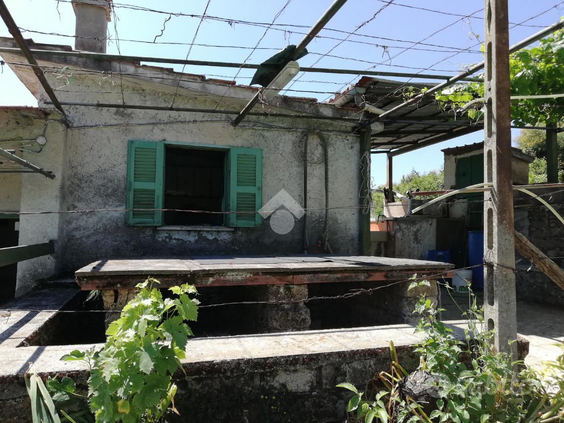 RUSTICO A OLEVANO ROMANO - Altro
