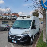 Fiat Ducato frigo 