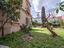 Immagine 23