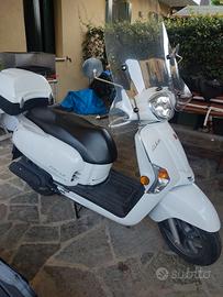 Scoter