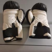 Guantoni da boxe