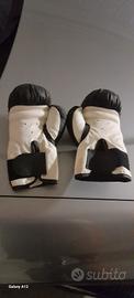 Guantoni da boxe